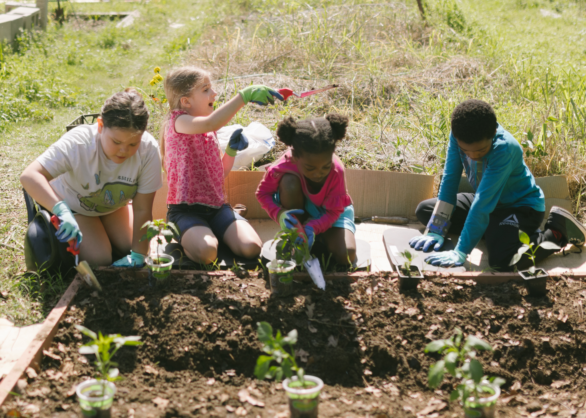 Photograph of four elementary age children planting a vegetable garden.
